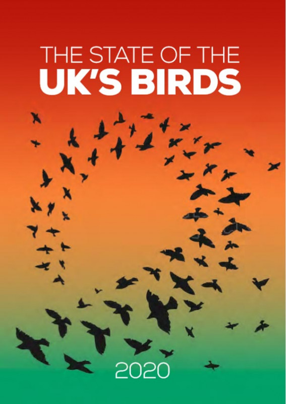 The State of the UK's Birds 2020 | BTO - British Trust for Ornithology