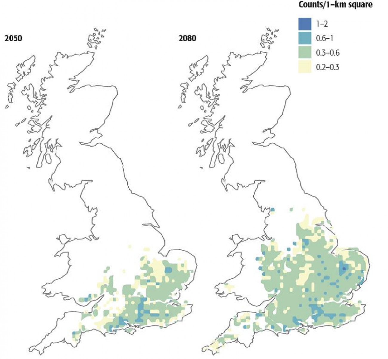 The projected colonisation of Britain by Western Bonelli’s Warbler under a medium emissions climate change scenario, showing the species spreading north and west between 2050 and 2080. Adapted from Massimino et al. 2017. Western Bonelli's Warbler projections