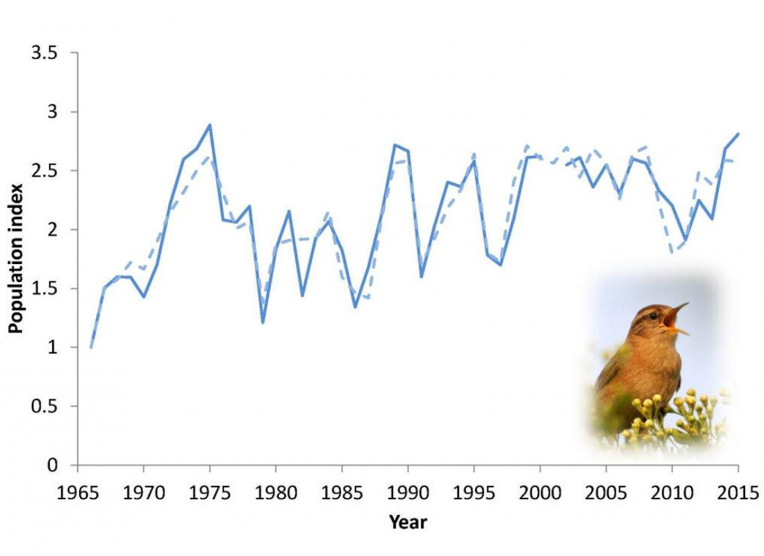 Observed (solid line) and modelled (dashed line) Wren numbers, used in analyses of UK weather on bird populations. Wren numbers dip during hard winters.