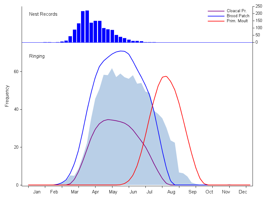 Graph showing phenology of Blackbirds Graph showing phenology of Blackbirds