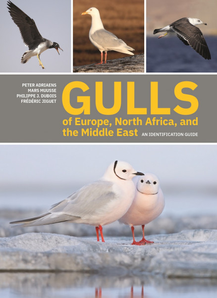 Gulls of Europe, North Africa, and the Middle East: An Identification Guide(cover) Gulls of Europe, North Africa, and the Middle East: An Identification Guide (cover)