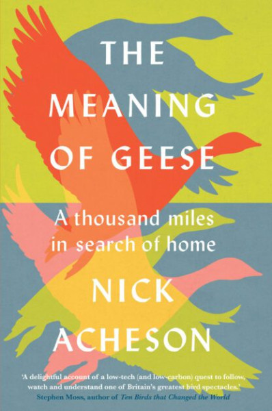 The Meaning of Geese, by Nick Acheson, front cover The Meaning of Geese (cover)