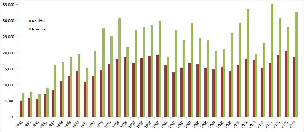 Graph showing the number of birds ringed through CES per year