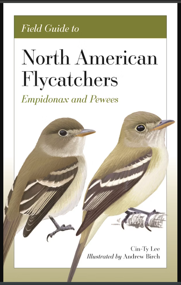 Filed GUide to North American Flycatchers, front cover