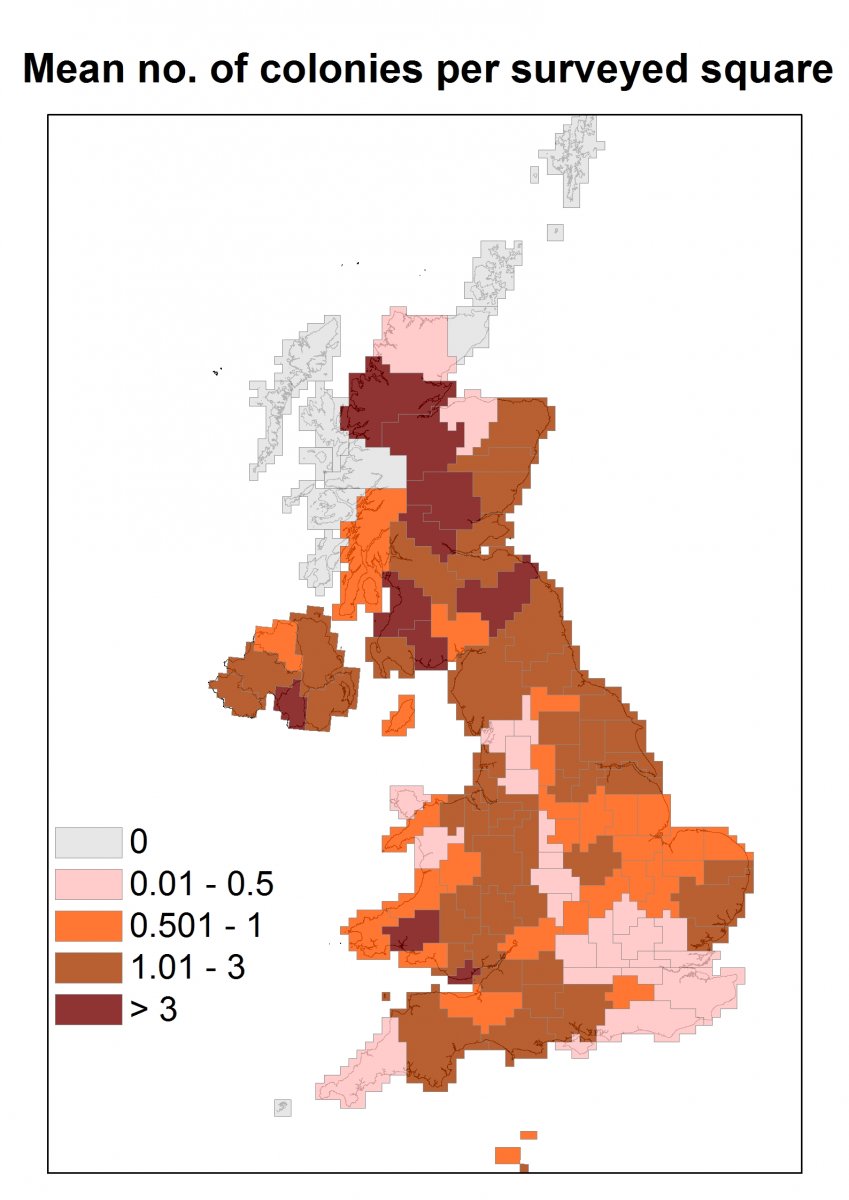 House Martin Survey 2015 - Mean Colonies per Square