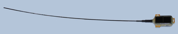 The technology tag used for tracking the Cuckoos. Photo © Microwave Telemetry Inc.