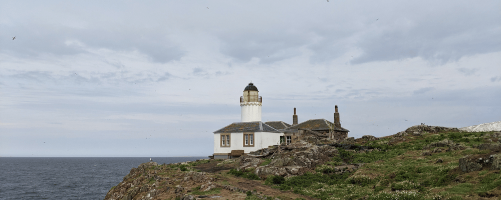 Isle of May Bird Observatory by Gary Clewley Apply to become a Young Bird Observatory Volunteer