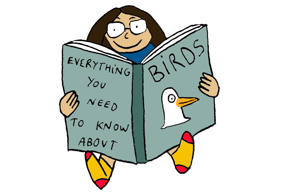 Learning and reading about birds. Illustration by Anna Dupont-Crabtree