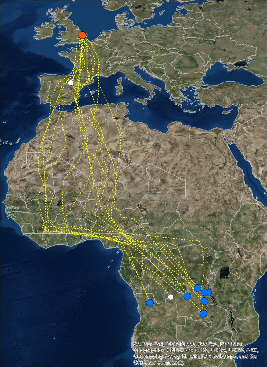 Nightjar GPS migration map