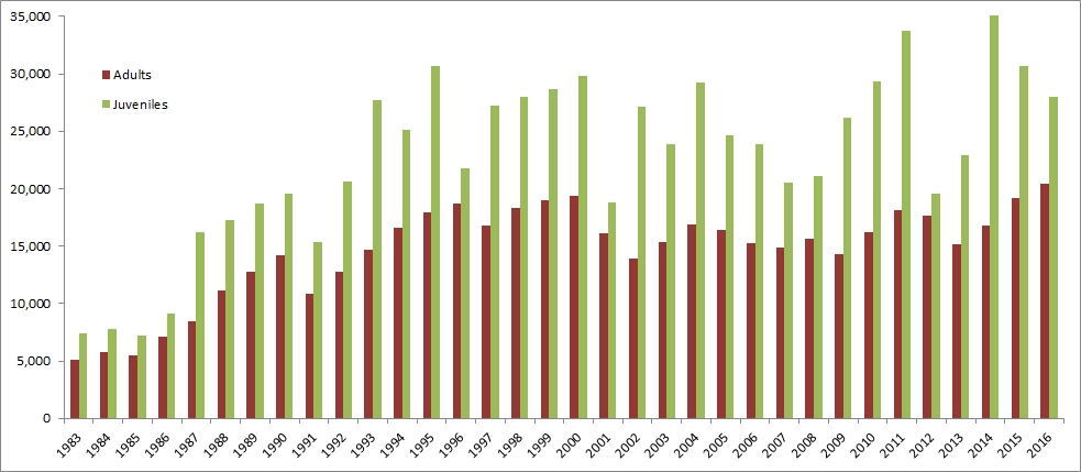 Graph showing the number of birds ringed through CES since 1983