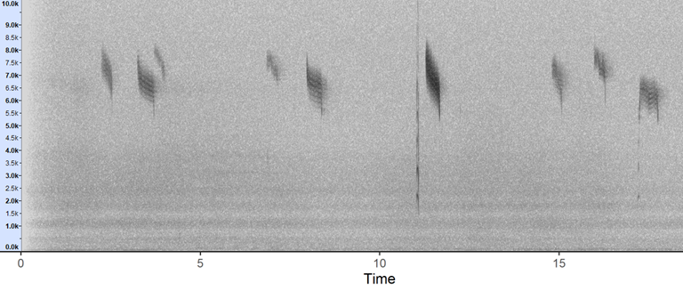 Redwing nocturnal flight call spectrogram. Simon Gillings The BTO Acoustic Pipeline uses high-powered, algorithmic classifiers to identify wildlife from calls and song.
