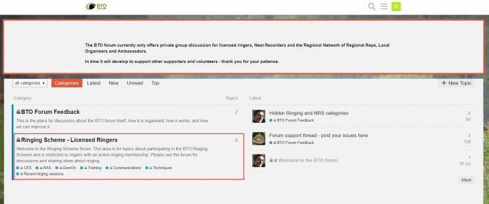 Screenshot of the landing page for the Ringers' Forum