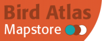 Mapstore logo