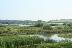 Nature Reserve