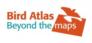 Bird Atlas - Beyond the maps