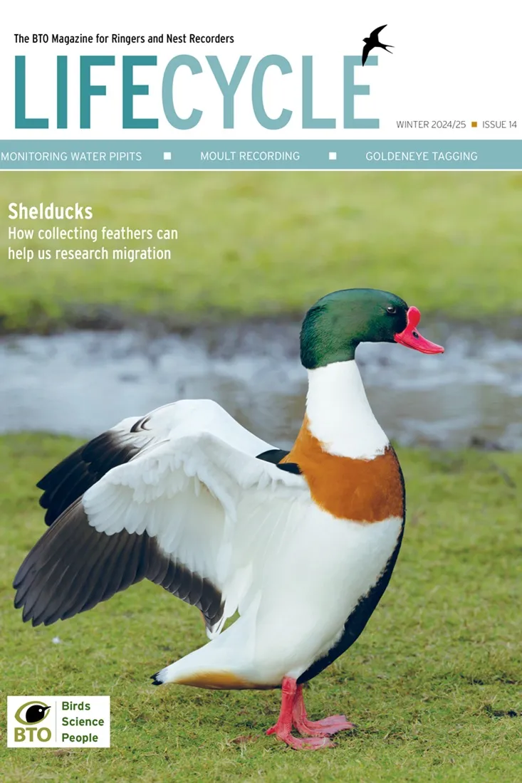 Issue 14, Winter 2024-25