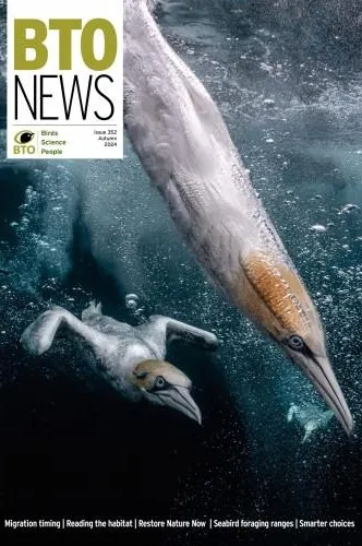 Issue 352, Autumn 2024