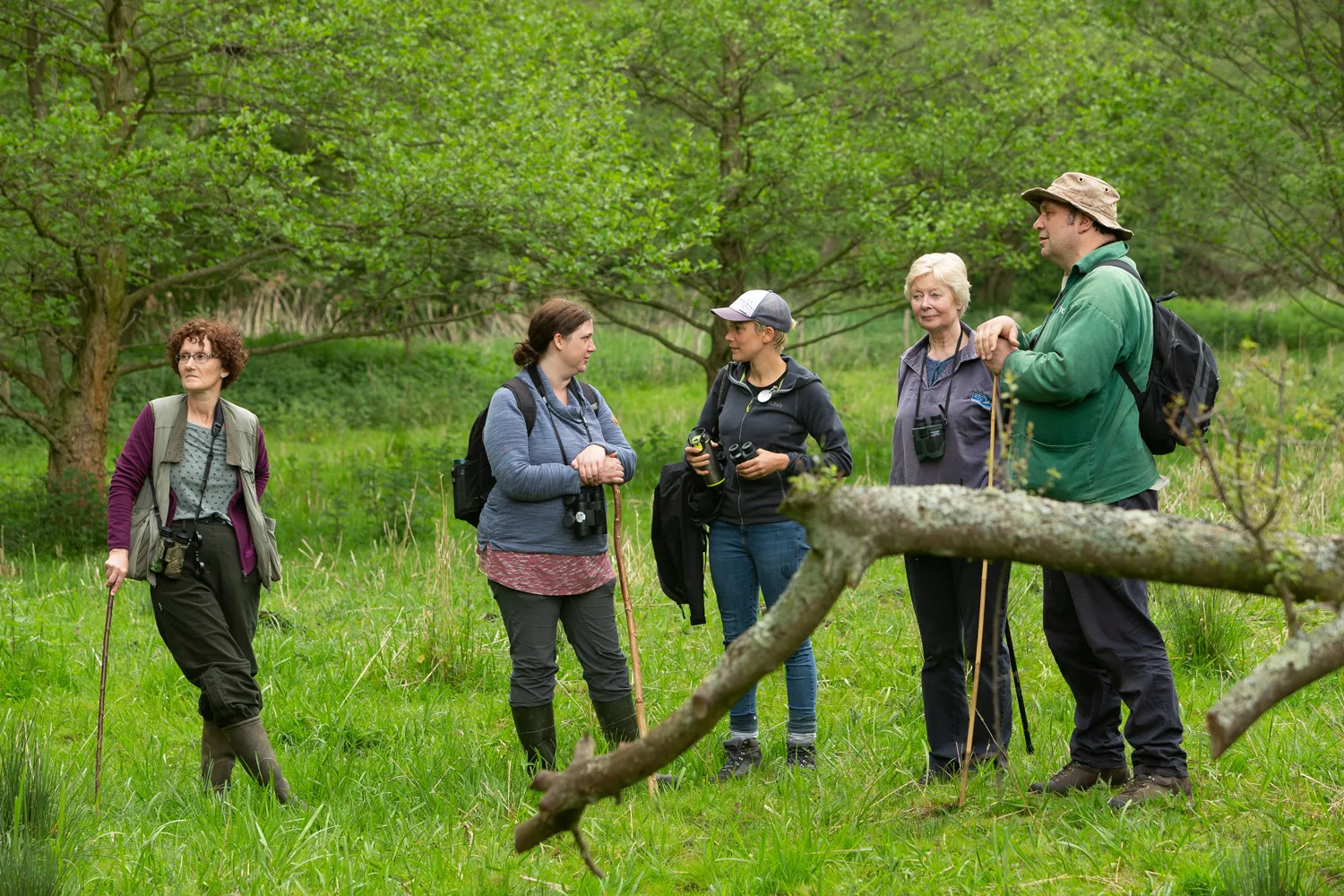 Nest Record Scheme training, by Keith Mindham / BTO