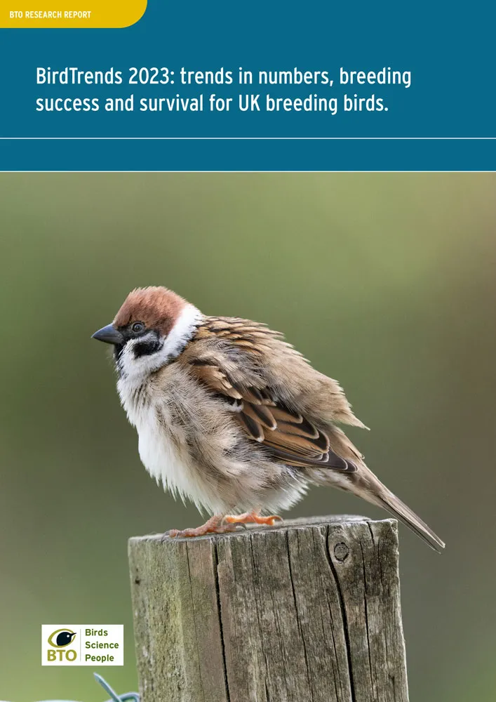 About BirdTrends