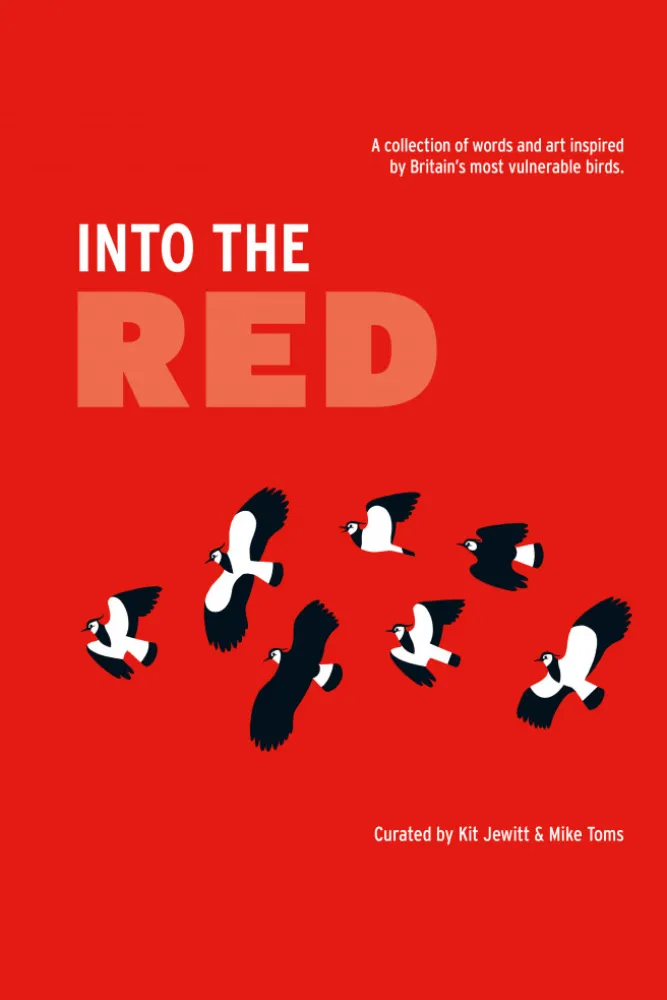 Into the Red