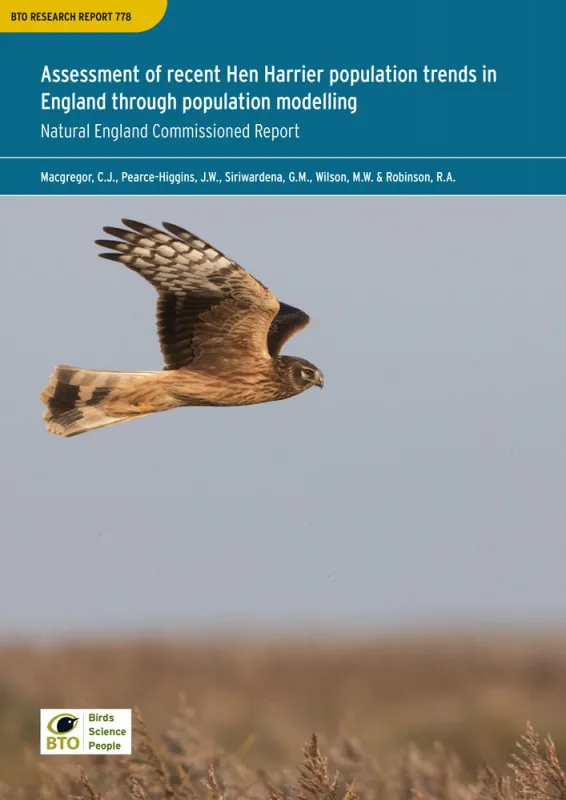 Assessment of recent Hen Harrier population trends in England through population modelling