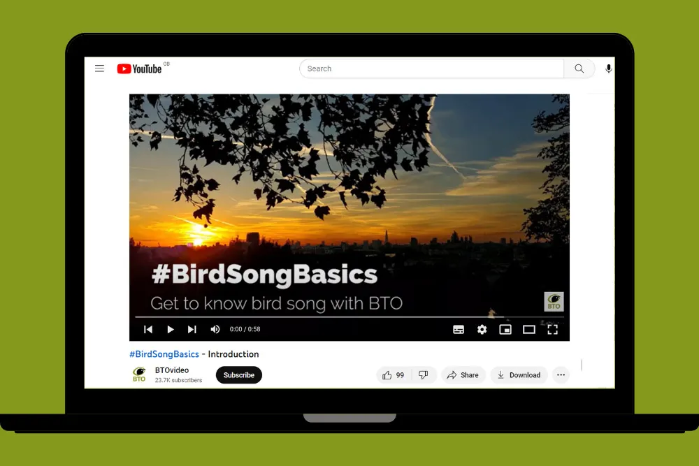 Bird ID at home