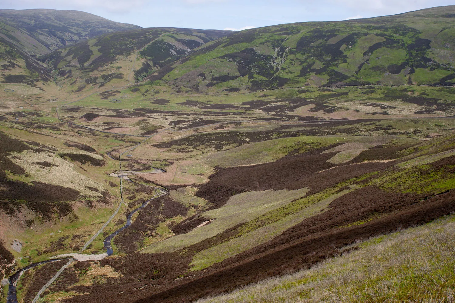 Upland landscape, by Edmund Felllowes / BTO