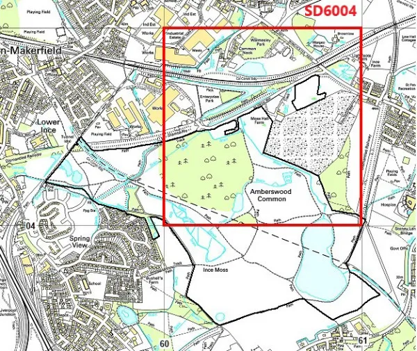 Position of survey square in relation to the SBI boundary. A map of the survey square