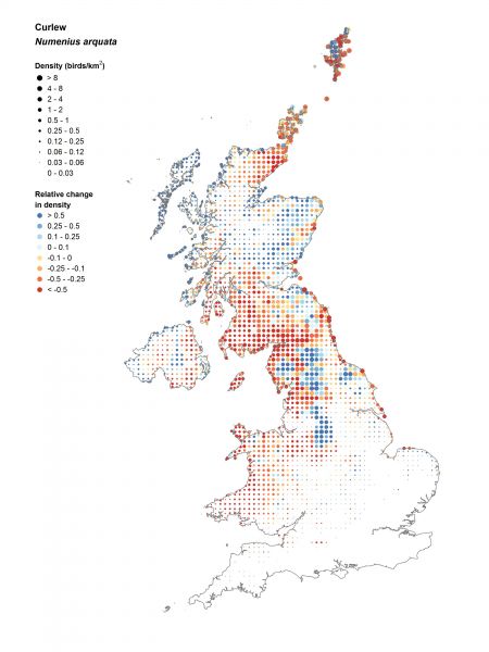 Curlew change density map Curlew change density map