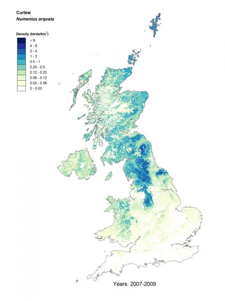 Curlew density