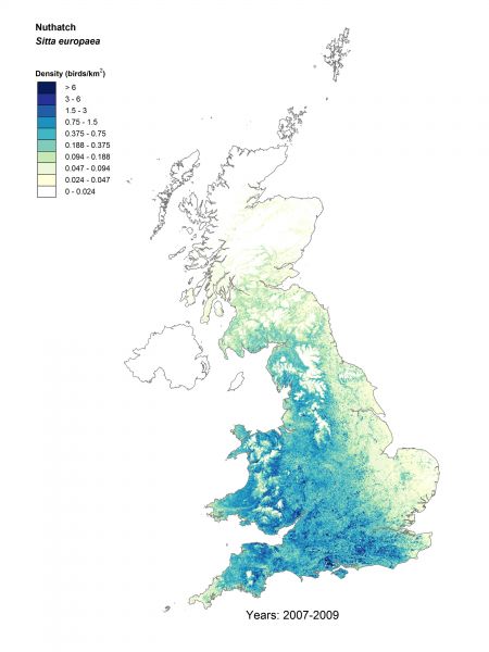 Nuthatch density