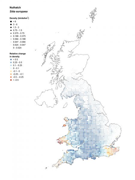 Nuthatch change and density