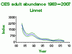 linnet_abundance