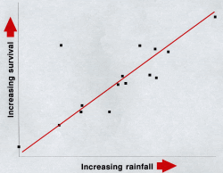 Survival Graph