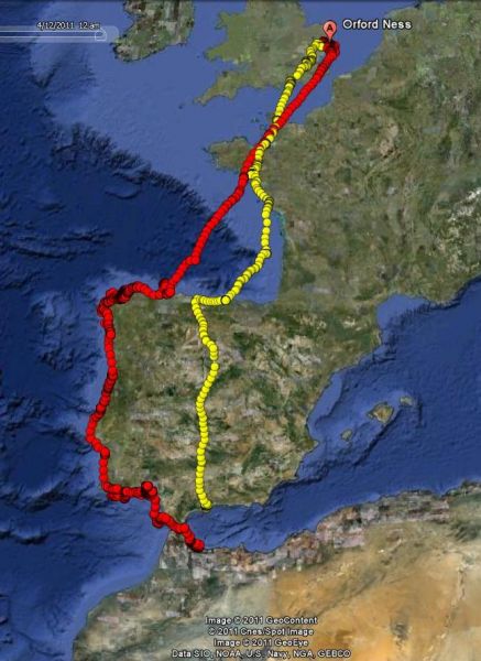 Outward (red) and inward (yellow) journeys of one bird.