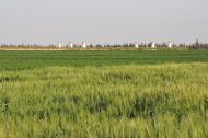 http://www.panoramio.com/photo/68496326