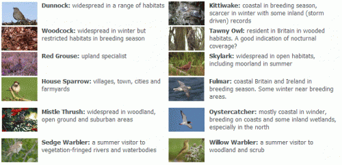 Indicator species 