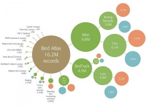 Data sources for the Bird Atlas