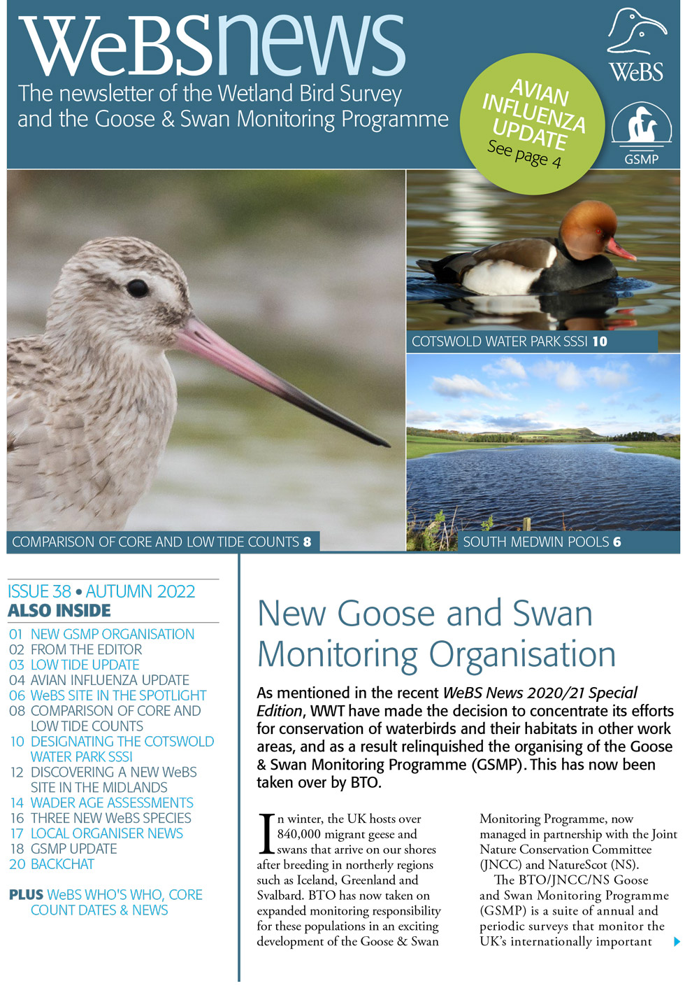 WeBS News Issue 38 Cover