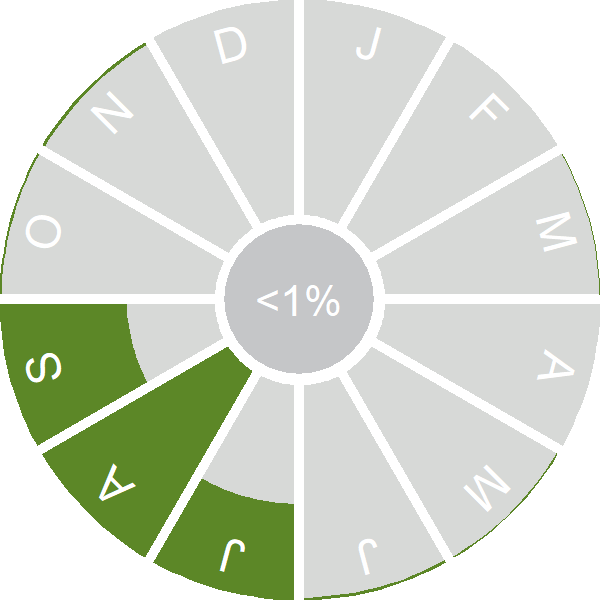 Seasonality