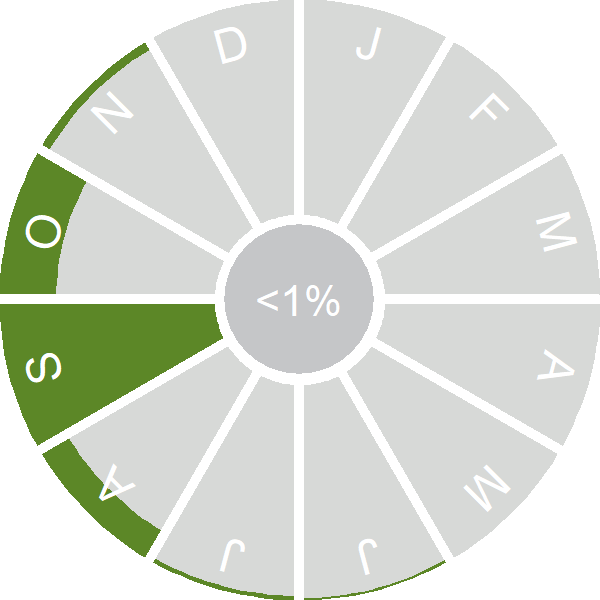 Seasonality