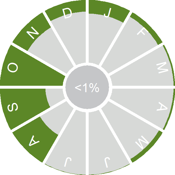 Seasonality