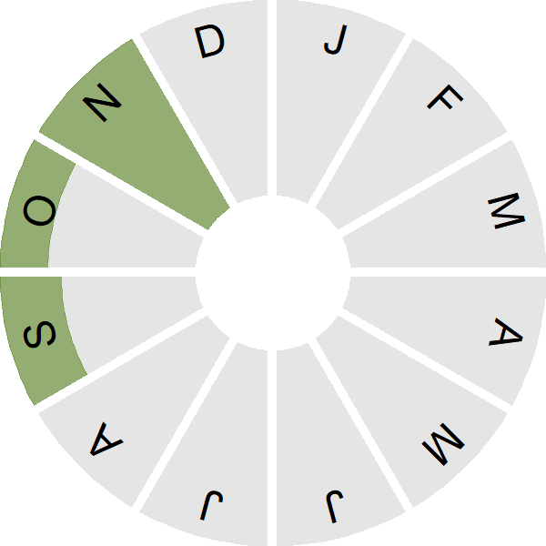 Seasonality