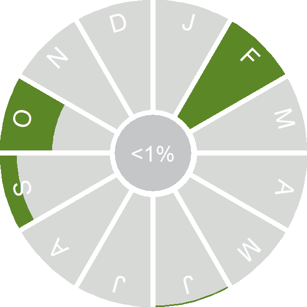 Seasonality